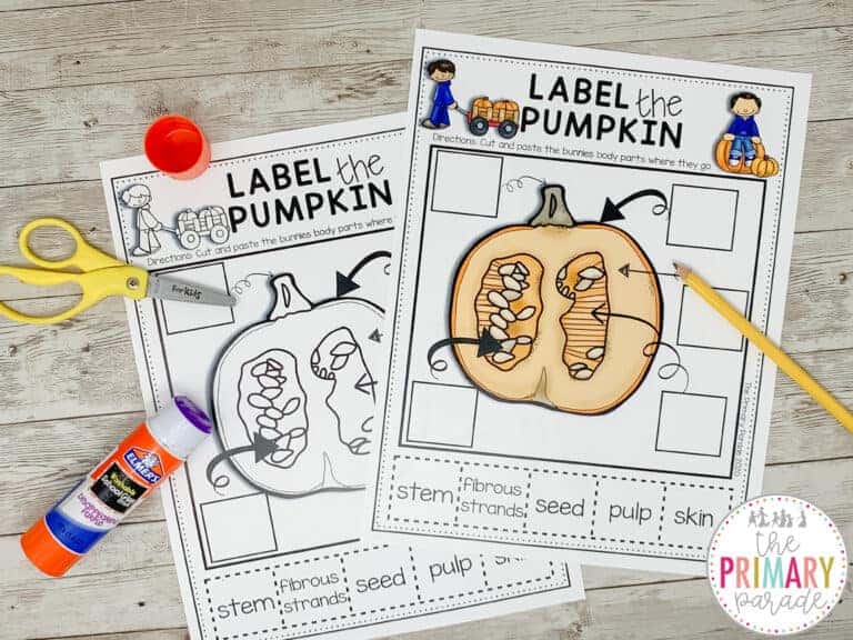 Pumpkin Activities for Preschool - The Primary Parade