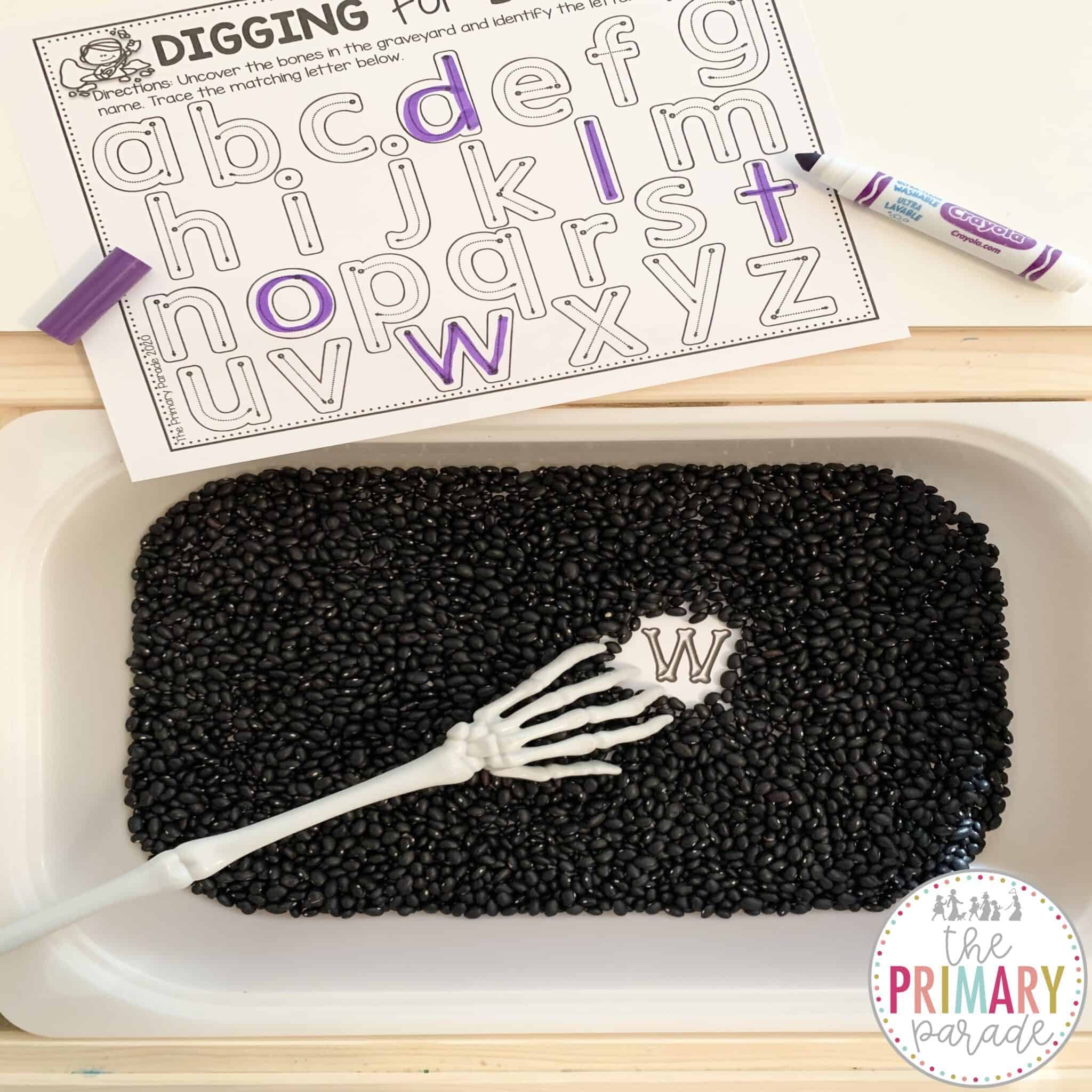 My Editable Name Book - The Primary Parade