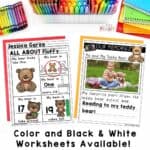 The Best Teddy Bear Picnic Activities and Ideas - The Primary Parade