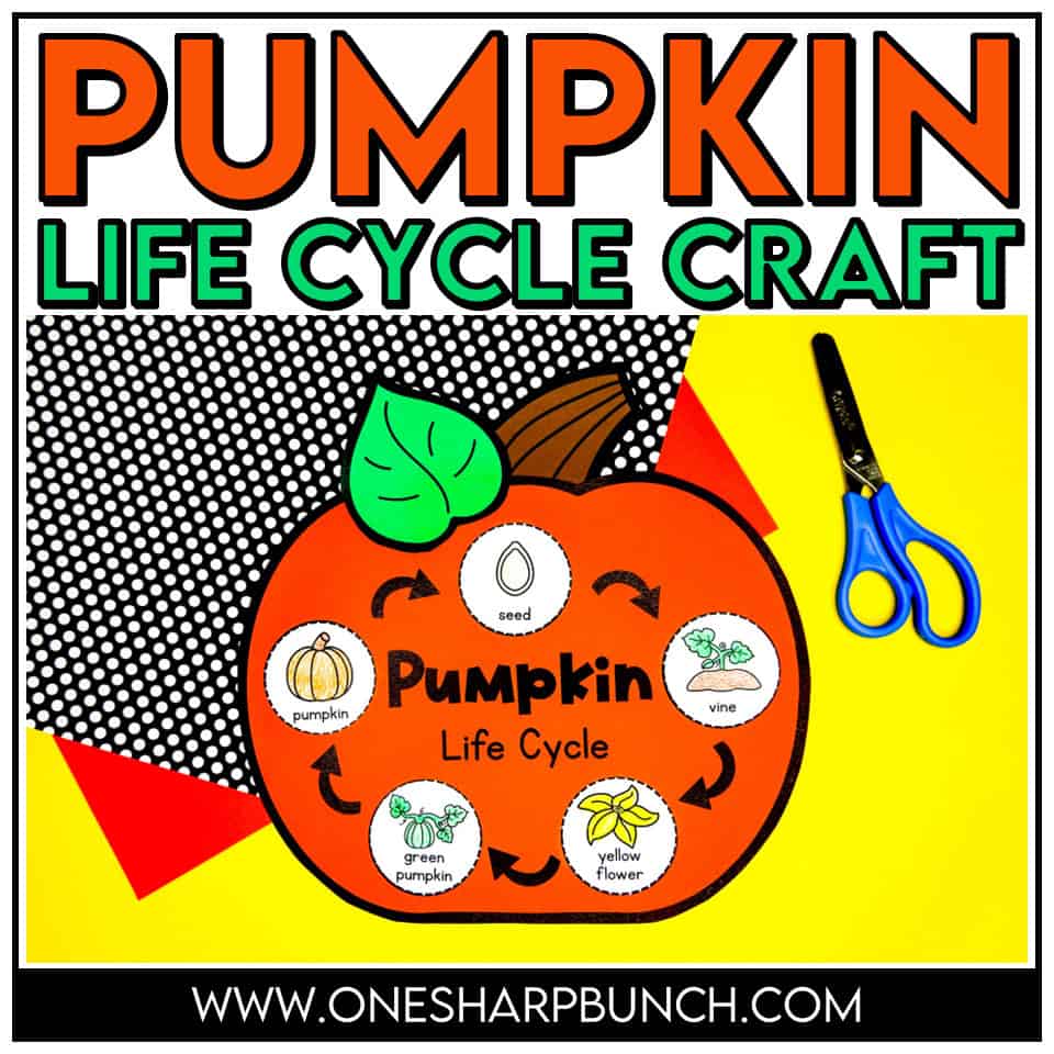 Pumpkin life cycle craft showing seed, vine, flower, green pumpkin, and mature pumpkin stages