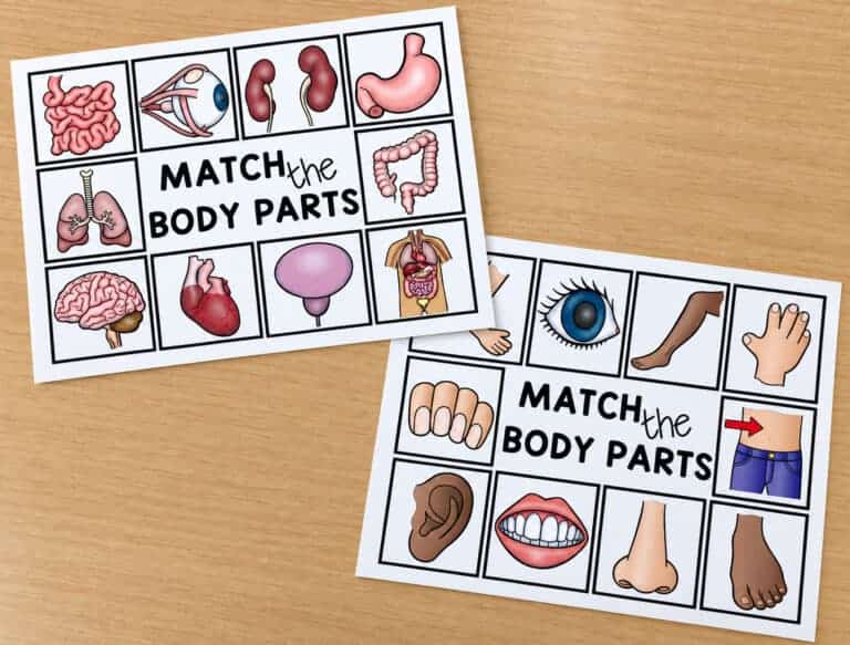 Body Part Match