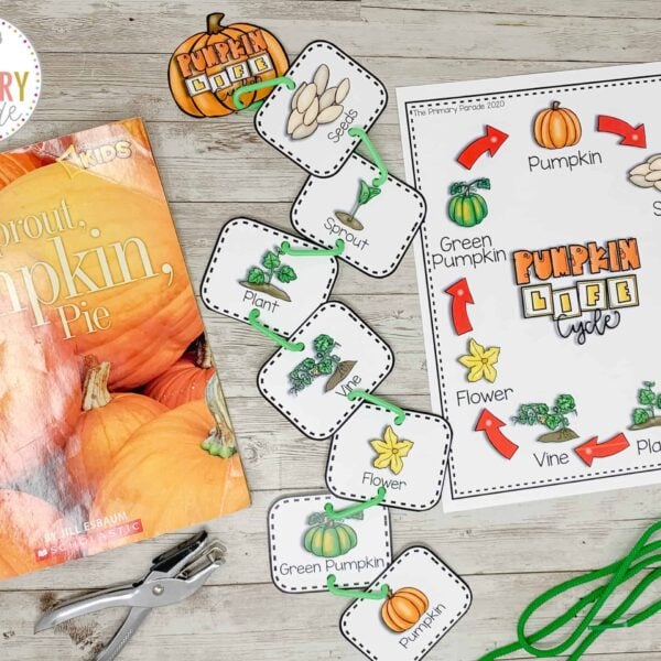 Pumpkin Life Cycle