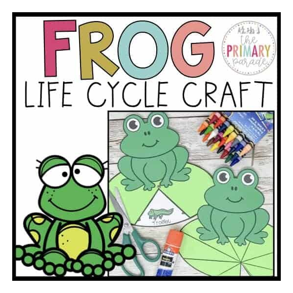 Frog Life Cycle Craft