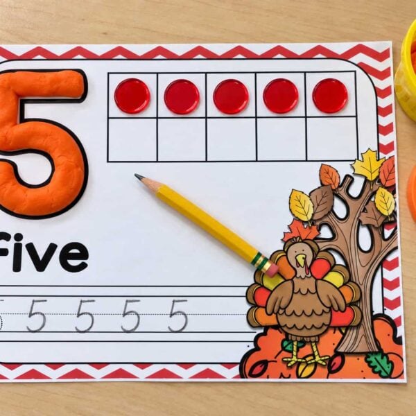 Turkey Number Mats