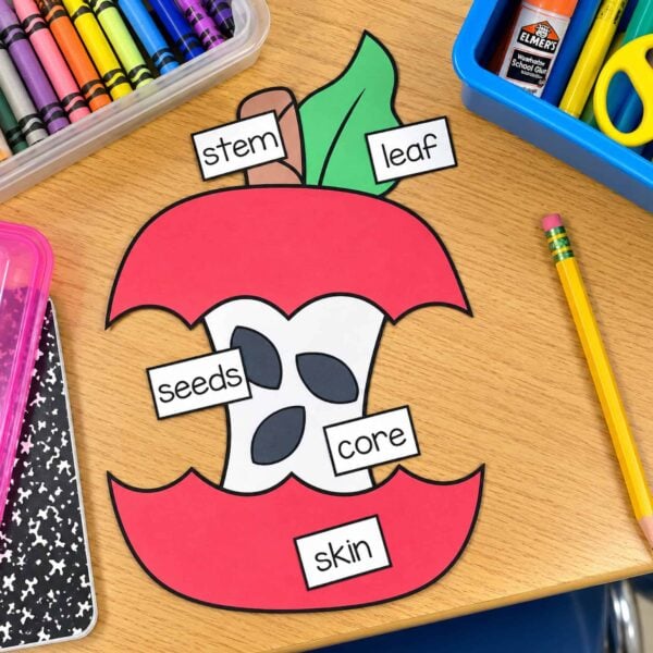 Parts of An Apple Craft