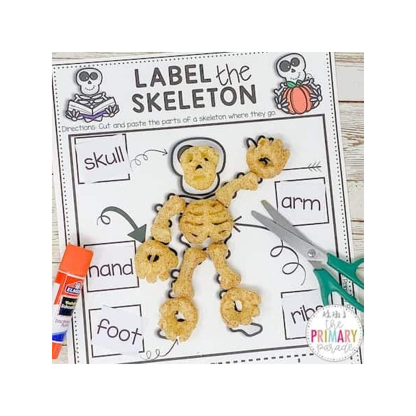 Label The Skeleton