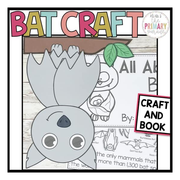 All About Bats